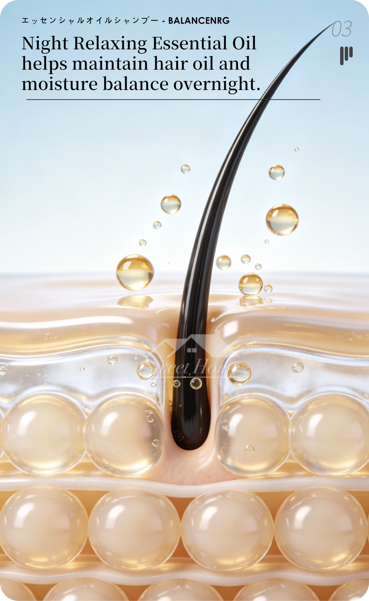 Farcent Essential Oil Shampoo-BALANCENRG-6